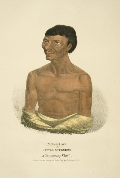 Na-mas or the Little Sturgeon by James Otto Lewis